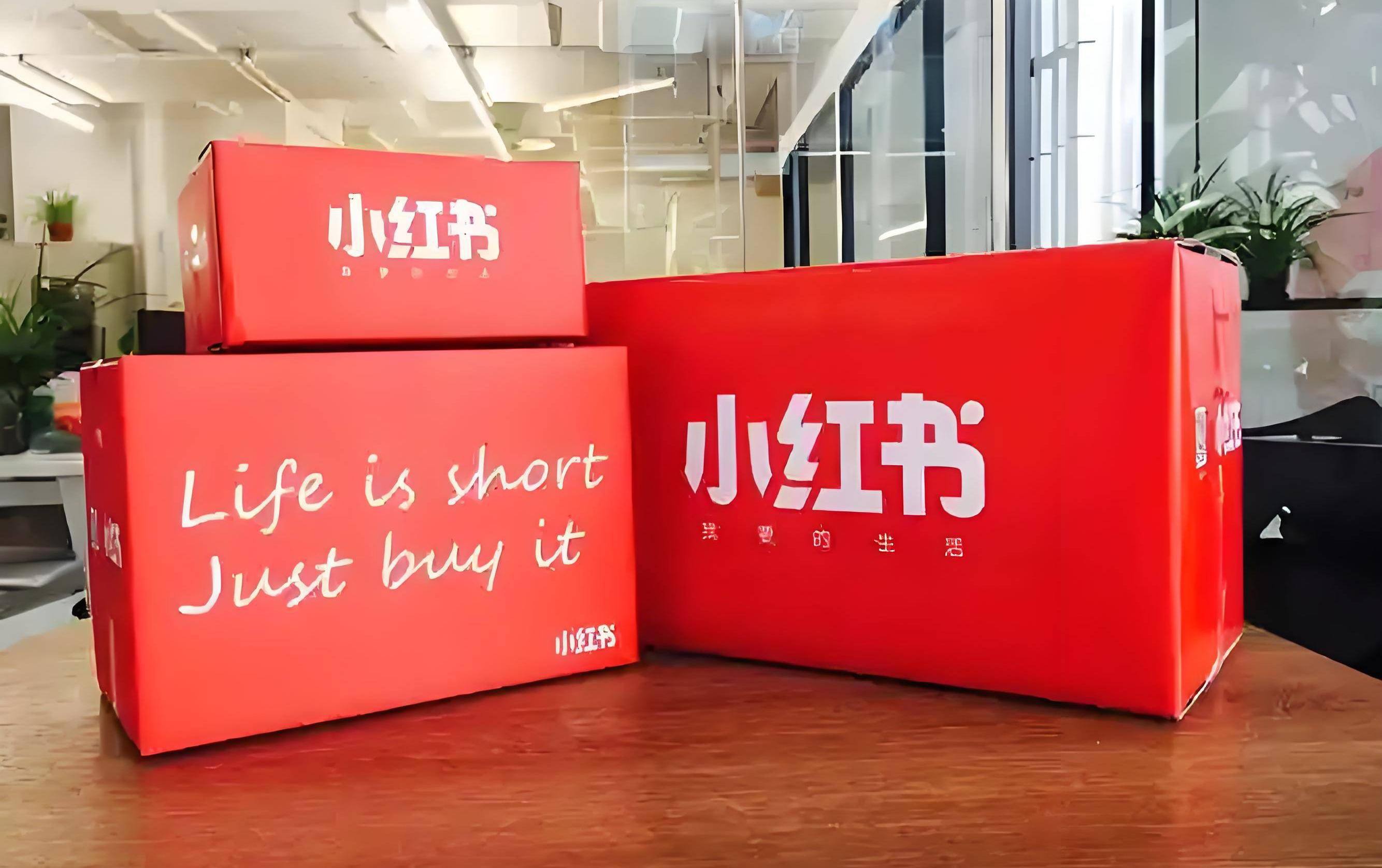 拿下支付牌照，小红书金融布局再落一子